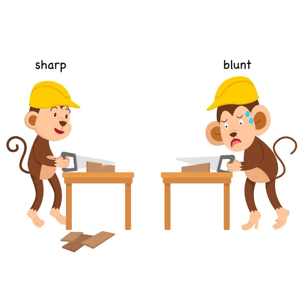 Opposite sharp and blunt vector illustration — Stock Vector