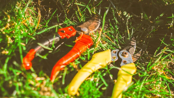 Pruning shears on green grass. work in the garden in spring. Pruning bushes tools. Cutting Branches at autumn. Close up scissors. Colorful tools for countryside work. garden equipment