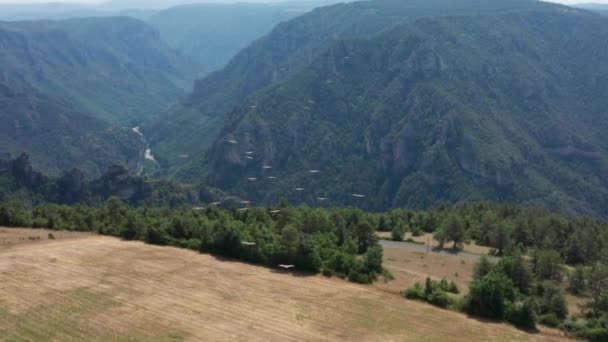 Zwerm Griffioengieren Die Gorges Tarn Vliegen Subliem Zeldzaam Luchtschot Frankrijk — Stockvideo