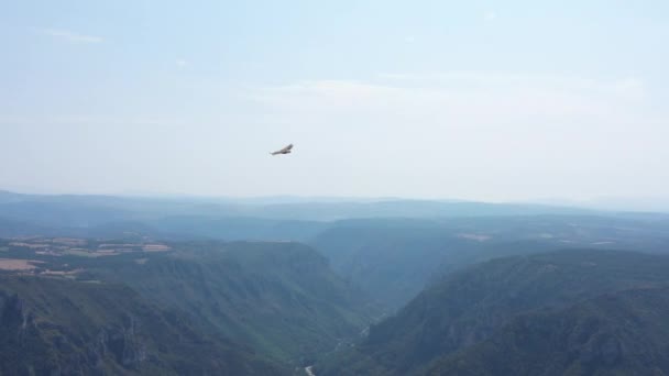 原因となる石灰岩の台地のフランスの空の眺めに満ちている獲物のハゲタカのエジプトの鳥の後 — ストック動画