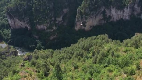 Buitre Leonado Vuelo Vista Aérea Río Gargantas Tarn Fondo Día — Vídeos de Stock