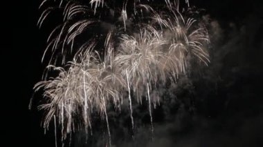 En güzel havai fişek gösterisi Yeni yıl kutlaması Nagaoka Hanabi Japonya 