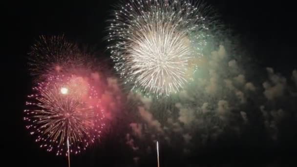 最美丽的烟花表演庆祝新年日本娜冈花 — 图库视频影像