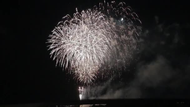 Πιο Όμορφη Γιορτή Επίδειξη Πυροτεχνημάτων Νέο Έτος Nagaoka Hanabi Japan — Αρχείο Βίντεο
