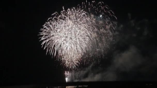 Les Beaux Feux Artifice Affichage Célébration Nouvelle Année Nagaoka Hanabi — Video