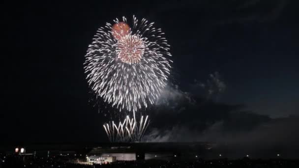 Cele Mai Frumoase Focuri Artificii Sărbătoresc Anul Nou Nagaoka Hanabi — Videoclip de stoc