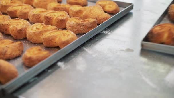 テーブルの上のクッキーの多くはおいしいクッキーの生産 — ストック動画