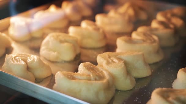 Biscoitos Padaria Biscoitos Recém Assados Biscoitos Assados Forno Fechar Produção — Vídeo de Stock