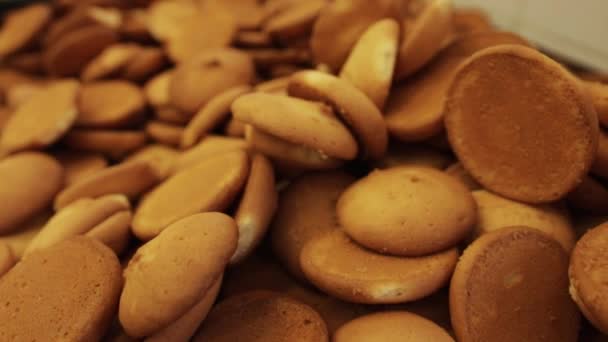 Biscoitos Padaria Biscoitos Recém Assados Biscoitos Assados Forno Fechar Produção — Vídeo de Stock