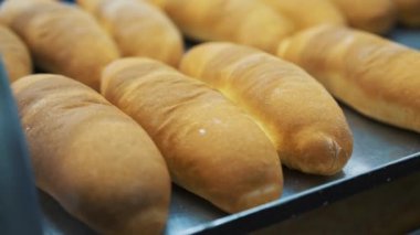 Fırındaki fırında pişirilen ekmek fırınındaki üretim hattında bir somun ekmek. Fırından yeni çıkmış güzel bir altın rengi ekmek fırını. Taze ürünleri olan fırın besin fabrikası.