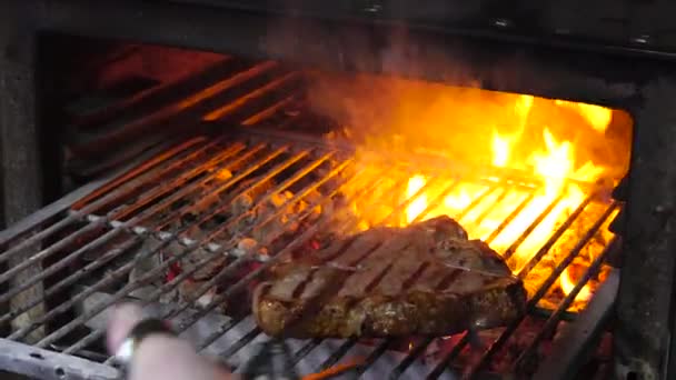 Tasty Grilled Steak Oven — Stock Video