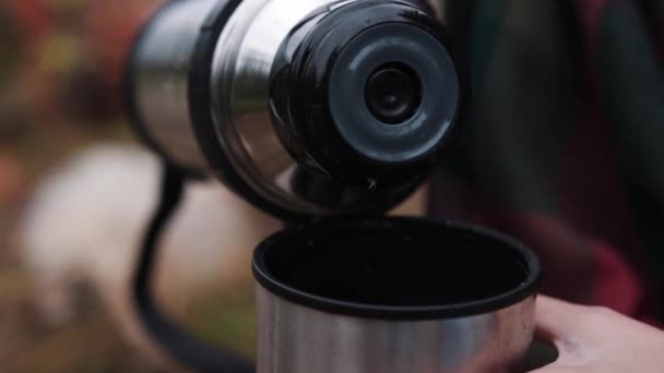 Tourist Drinking Tea Mug Thermos Mountains — Stock Video