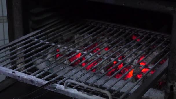 在烤箱美味烤的牛排 — 图库视频影像