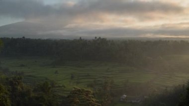 Bali Endonezya mahagiri padi rice field Mount agung morning time lapse