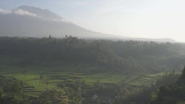 Bali Endonezya mahagiri panoramik dağ manzarası ve pirinç tarlası sabahı