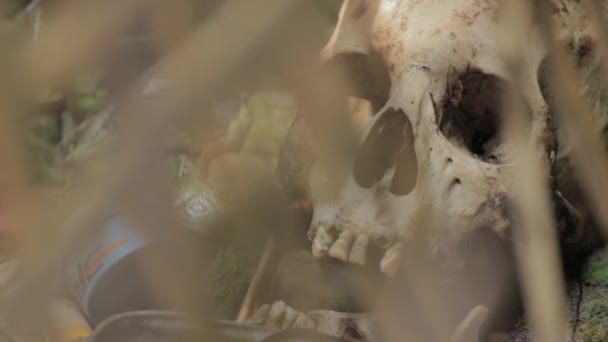 Bali Trunyan Hřbitov Lebka Lebky Kostra Mrtvý Lidské Kosti — Stock video