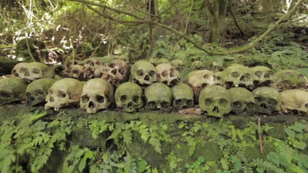 Bali Trunyan Cemetary Cráneo Cráneos Esqueleto Muertos Huesos Humanos — Vídeo de stock