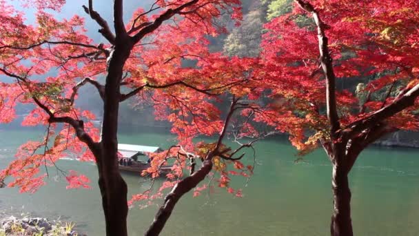 Říční Loď Jízda Arashiyama Kyoto Japonsko Během Podzimu Listí — Stock video