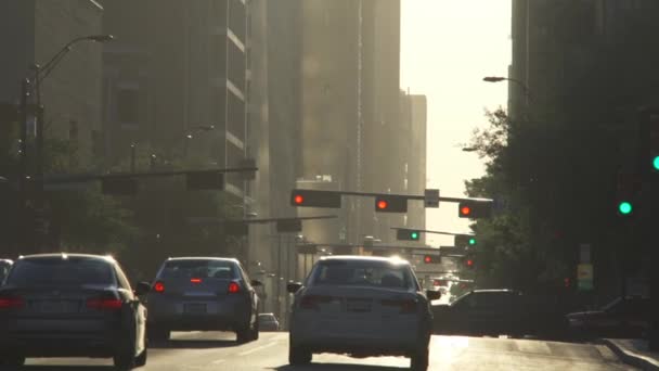 Dallas Downtown Traffic Light — Stok video
