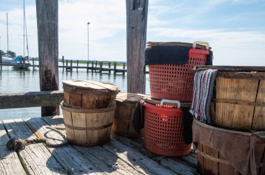 Maryland Mavi Yengeçlerinin Taze Yakalaması
