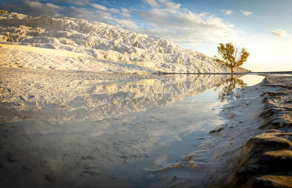 Golden Tree Treventines Reflections Mineral Spring Water Photographie Panoramique Paysage — Photo