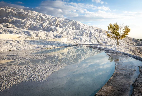 Landschapsfoto Van Treventines Reflecties Minerale Bronnen Met Herfstboom Achtergrond Tijdens — Stockfoto