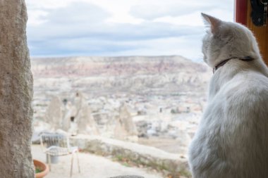 Kilitli kapının arkasındaki beyaz kedi pencereden Cappadocia 'nın kayalık manzarasına bakıyor. Panoramik Boşluk uzay resmi.