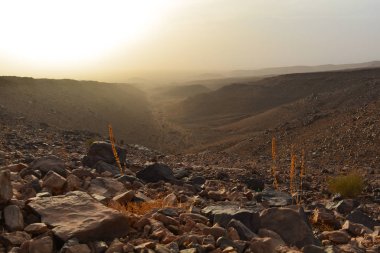 Kayalık atlas dağlarının manzaralı ve panoramik vev 'i