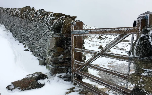 Camino congelado a través de las puertas en la nieve — Foto de Stock