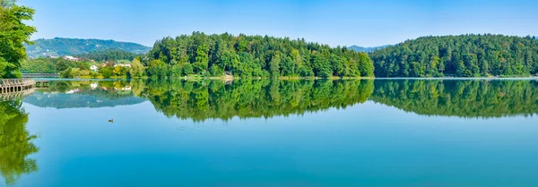 Panoramablick auf den See mit grünen Bäumen und leerem Himmel im Slo — Stockfoto