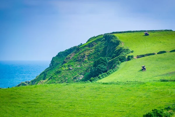 Bauern, die auf Feldern an der Klippe arbeiten — Stockfoto