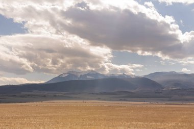 Gürcistan 'ın kırsalında, arka planda dağlar ve gökyüzünde dramatik bulutlar olan bir koyun sürüsü. Manzara od Sakartvelo.