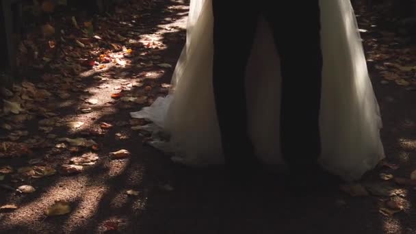 Just married couple walking in park on summer background — Stockvideo