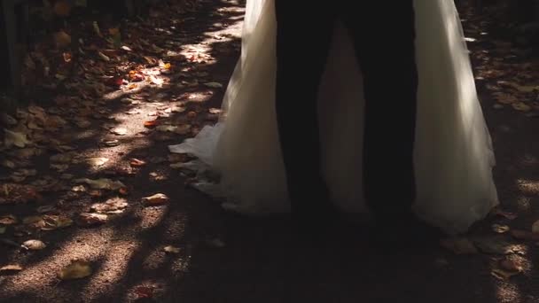 Just married couple walking in park on summer background — 비디오