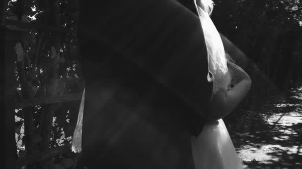 Απλά παντρεμένο ζευγάρι περπατά στο πάρκο σε καλοκαιρινό φόντο — Αρχείο Βίντεο