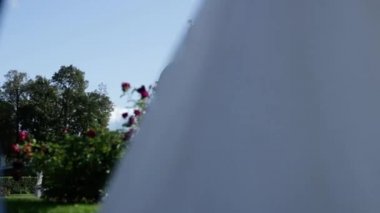 Just married couple walking in park on palace background