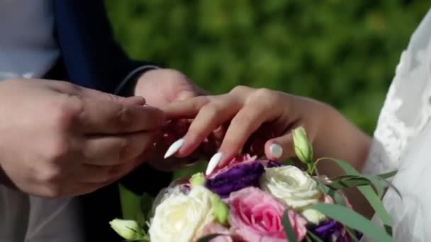 Wedding ceremony. Groom and bride put on wedding rings to each other on summer park background — Stock Video