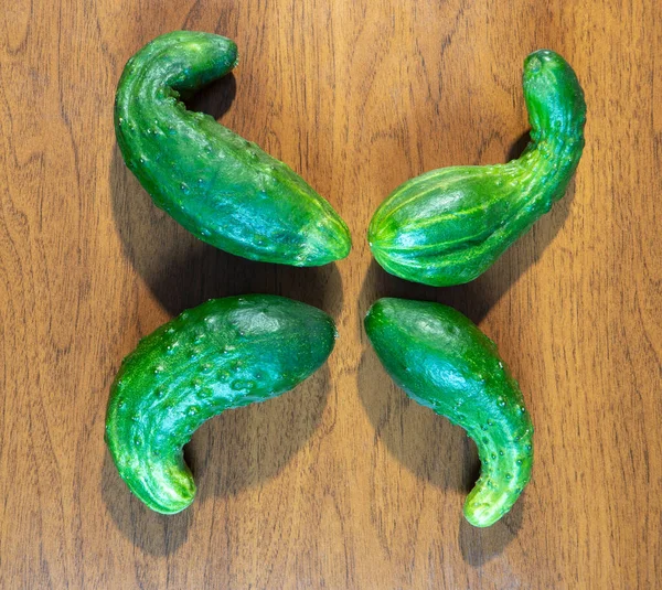 Vier Vervormde Natuurlijke Komkommers Bruine Houten Achtergrond Biologische Komkommers Zijn — Stockfoto