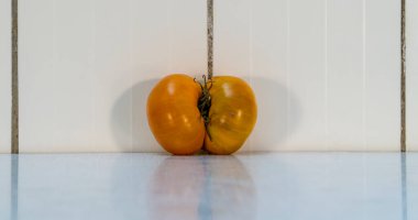 Doğal domatesler beslenme için birçok vitamin içeren sağlıklı gıdalardır. Sarı Siyam ikizi domatesler doğanın ucubeleridir. Kopya alanı ile yatay yönelim resmi.