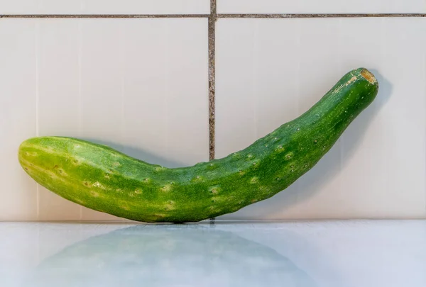 Misshapen cucumber on the table near wall with white plastic tiles. Organic cucumbers are healthy food, which contains lot of vitamins good for diet. Horizontal orientation Image, white background.