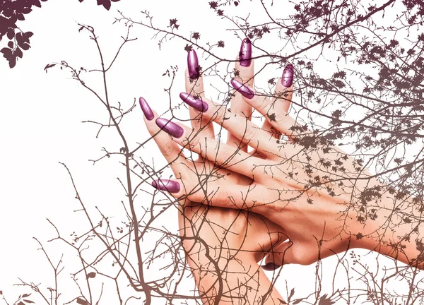 Double exposure of hands with perfect nails and autumn branches — Stock Photo, Image