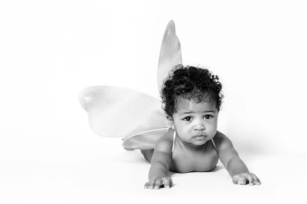 Linda menina do bebê retrato vestindo asas de fada preto e branco — Fotografia de Stock