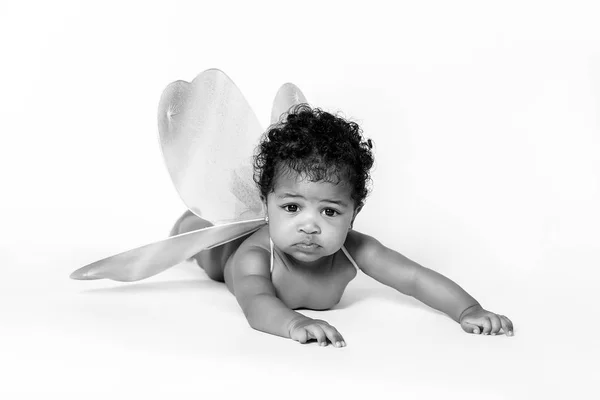 Lovely baby girl wearing fairy wings black and white — Stock Photo, Image