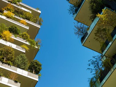 Dikey orman kuleleri, Milano, İtalya