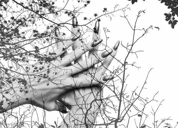 Zwart-wit dubbele blootstelling van perfecte nagels en herfst takken — Stockfoto