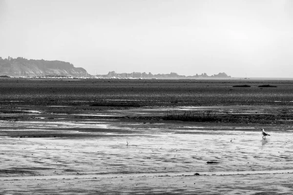 Blanco y negro Noroeste de Francia marea baja paisaje marino — Foto de Stock