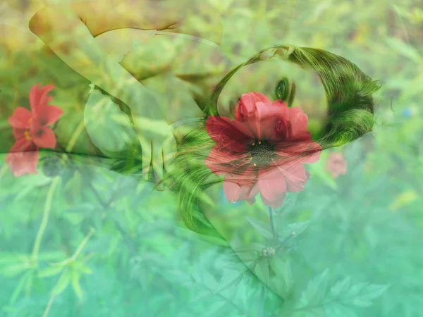 Dubbel exponering av flicka liggande i sängen och röd blomma — Stockfoto