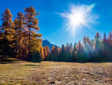 Güzel sonbahar mountainscape ve ahşap üzerinde parlayan güneş