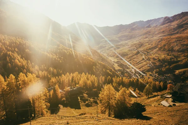 Autumn rays of sunshine on mountain woods — Stock Photo, Image