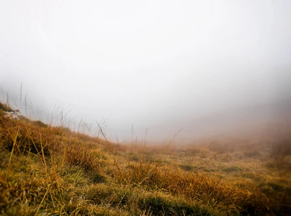 Autumnal gorgeous landscape and fog — Stock Photo, Image